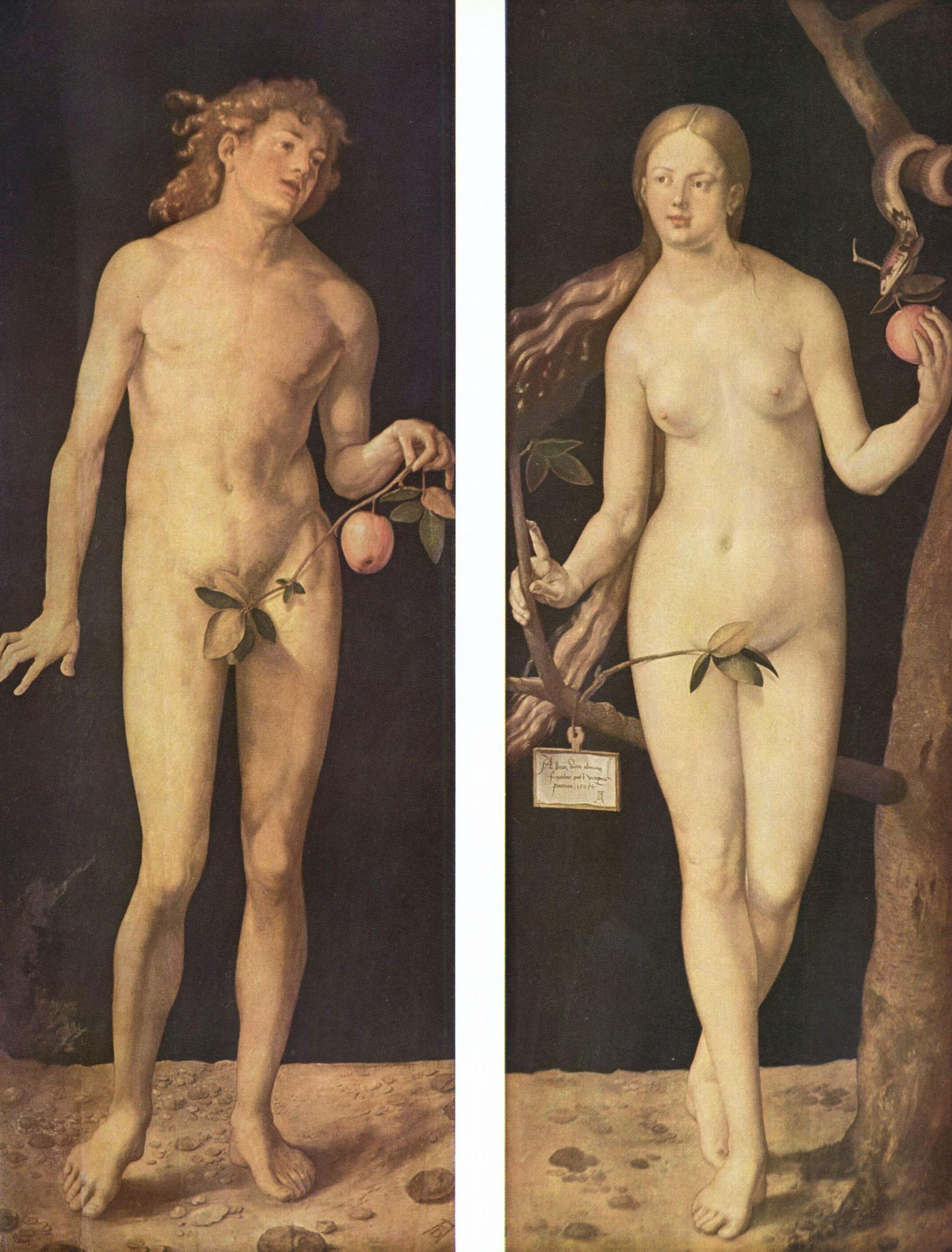 Адам и Ева. Диптих Альбрехта Дюрера, 1507
