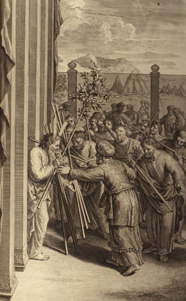 Расцветший жезл Аарона. Герард Хоет, 1728