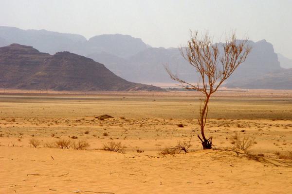 Иорданская пустыня